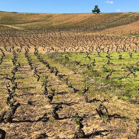 Boutique Finca Esencial Villafranca Del Bierzo Luaran gambar