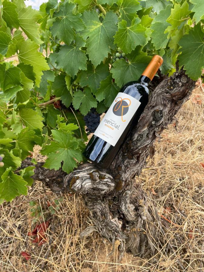 Boutique Finca Esencial Villafranca Del Bierzo Luaran gambar