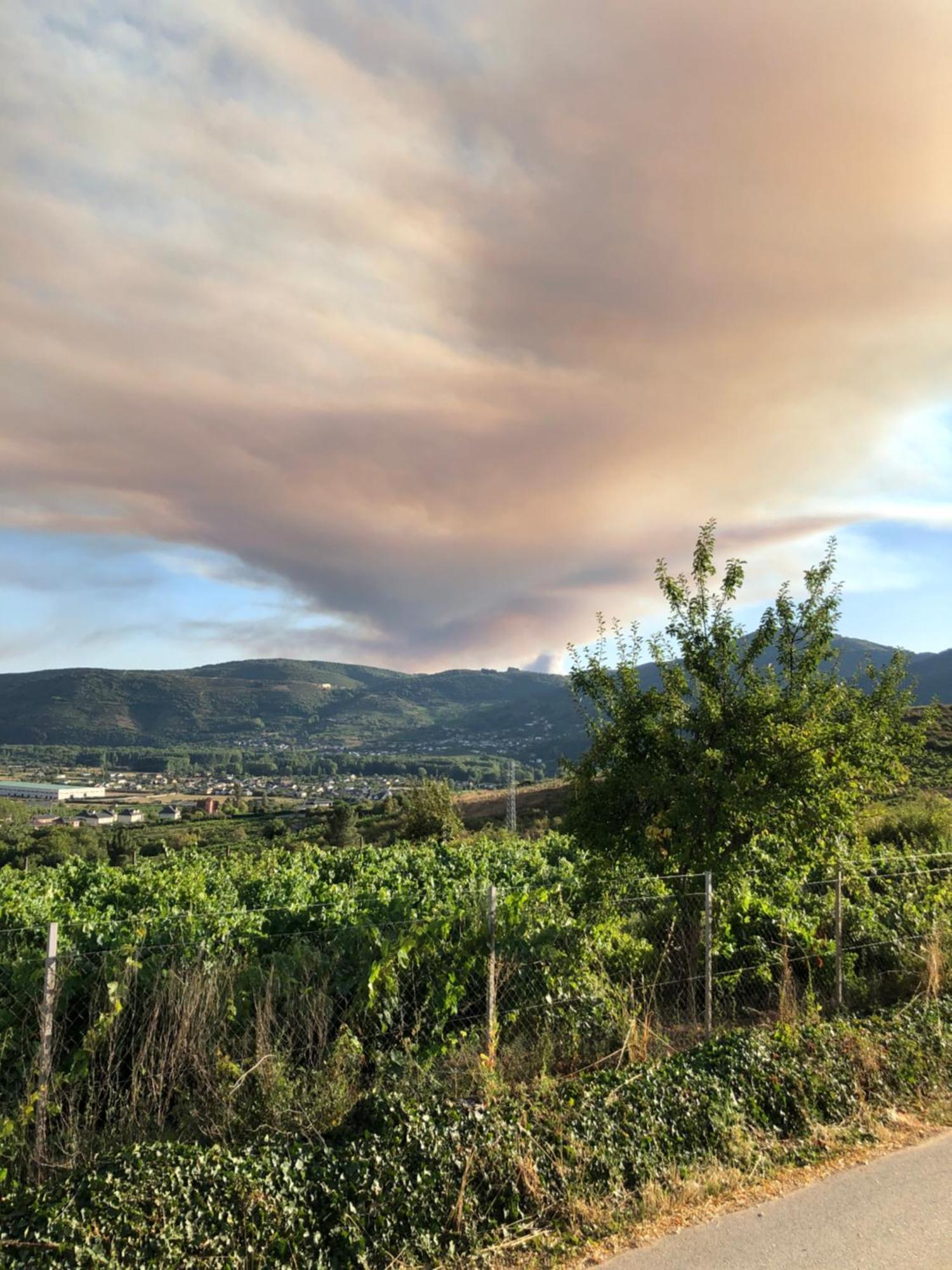 Boutique Finca Esencial Villafranca Del Bierzo Luaran gambar