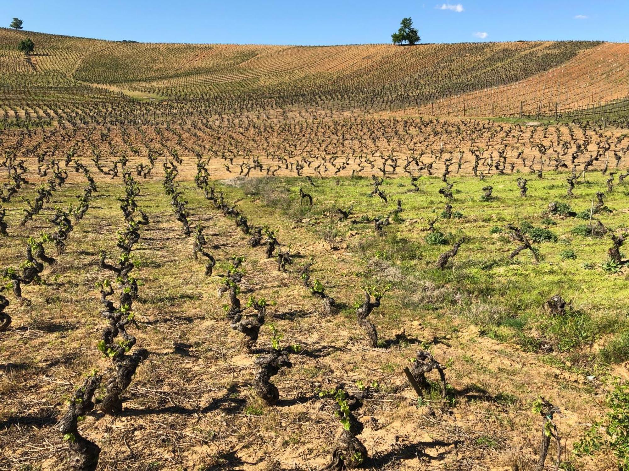 Boutique Finca Esencial Villafranca Del Bierzo Luaran gambar