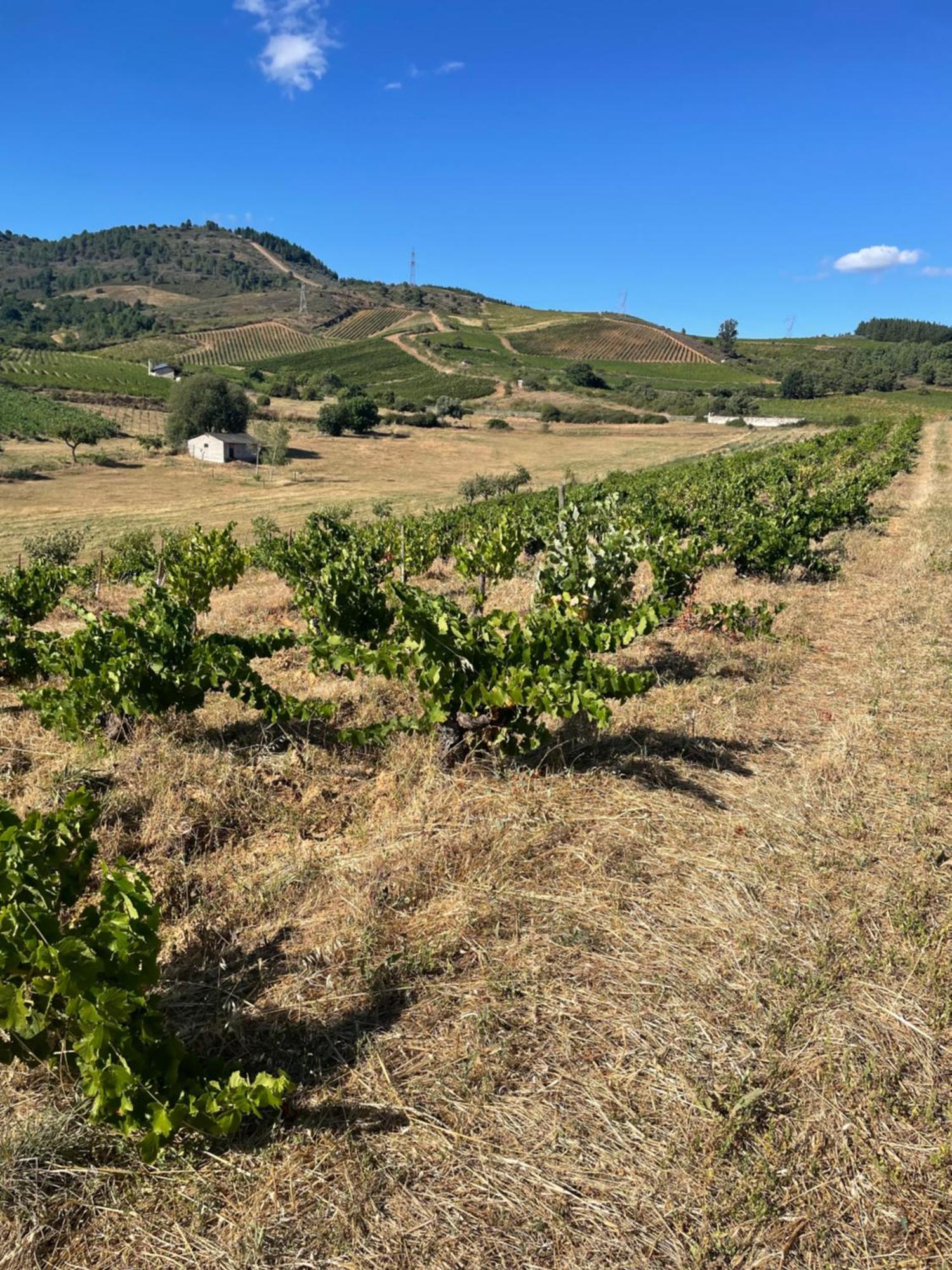 Boutique Finca Esencial Villafranca Del Bierzo Luaran gambar