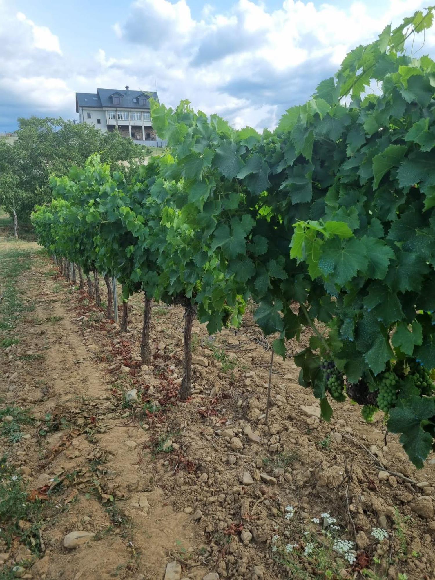 Boutique Finca Esencial Villafranca Del Bierzo Luaran gambar