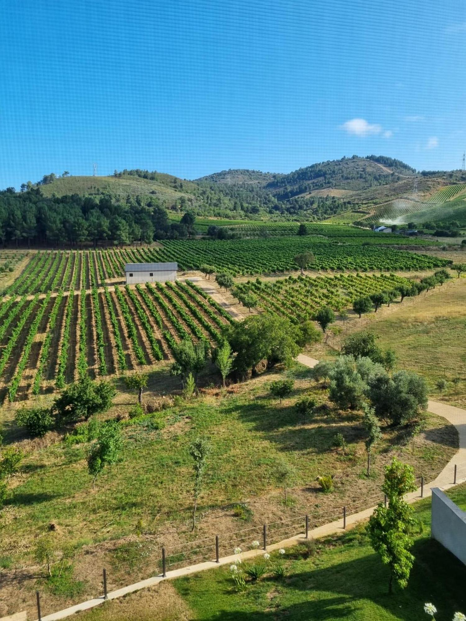 Boutique Finca Esencial Villafranca Del Bierzo Luaran gambar