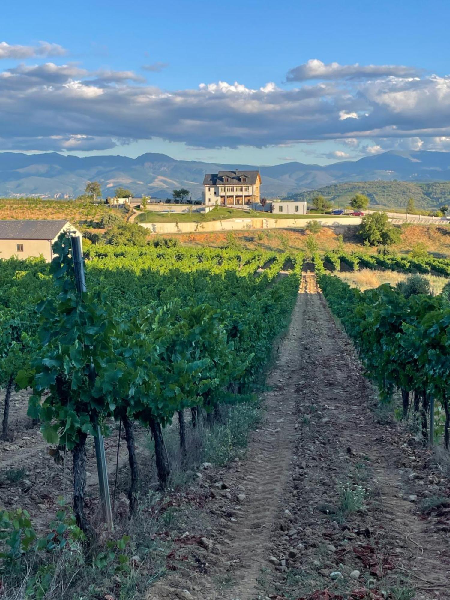 Boutique Finca Esencial Villafranca Del Bierzo Luaran gambar
